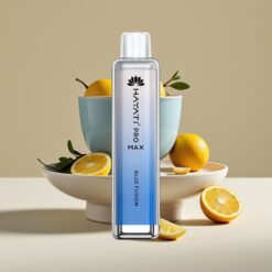 Hayati Pro Max 4000 Puffs Herbruikbare Vape Blauwe Fusie 2ml/10ml 1400mAh