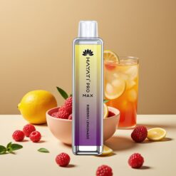 Hayati Pro Max 4000 Puffs Herbruikbare Vape Riberry Lemonade 1400mAh Dual Mesh Coil