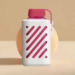 VOZOL GEAR 10000 Wegwerp Vape Perzik IJs 30 Smaken 20ml Vloeistof PCR