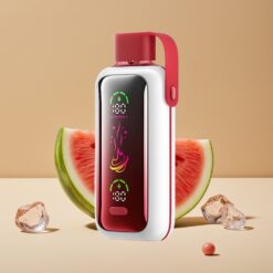 VOZOL Star 20000 Puffs Dual Mesh Watermeloen Ijs 650mAh