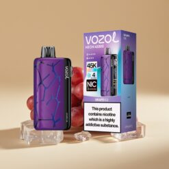 Vozol Neon 45K 45000 Puffs Disposable Vape Druif IJs 20ml 800mAh Mesh